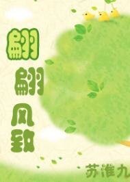 翩翩風致